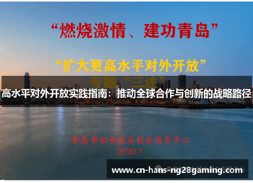 高水平对外开放实践指南:推动全球合作与创新的战略路径 高水平对外开放实践指南:推动全球合作与创新的战略路径