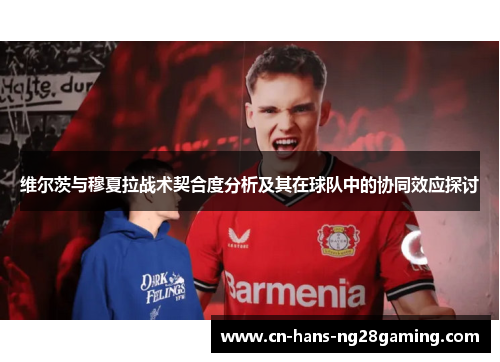 维尔茨与穆夏拉战术契合度分析及其在球队中的协同效应探讨