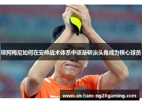 琼阿梅尼如何在安帅战术体系中逐渐崭露头角成为核心球员