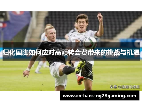 归化国脚如何应对高额转会费带来的挑战与机遇