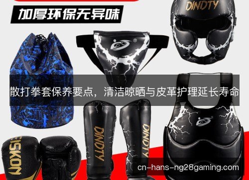 散打拳套保养要点,清洁晾晒与皮革护理延长寿命 散打拳套保养要点,清洁晾晒与皮革护理延长寿命